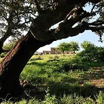 Stazzu Coiga مزرعة للإقامة