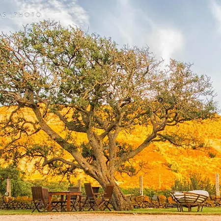 Stazzu Coiga Alloggio per agriturismo Aggius