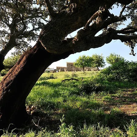 Stazzu Coiga Alloggio per agriturismo